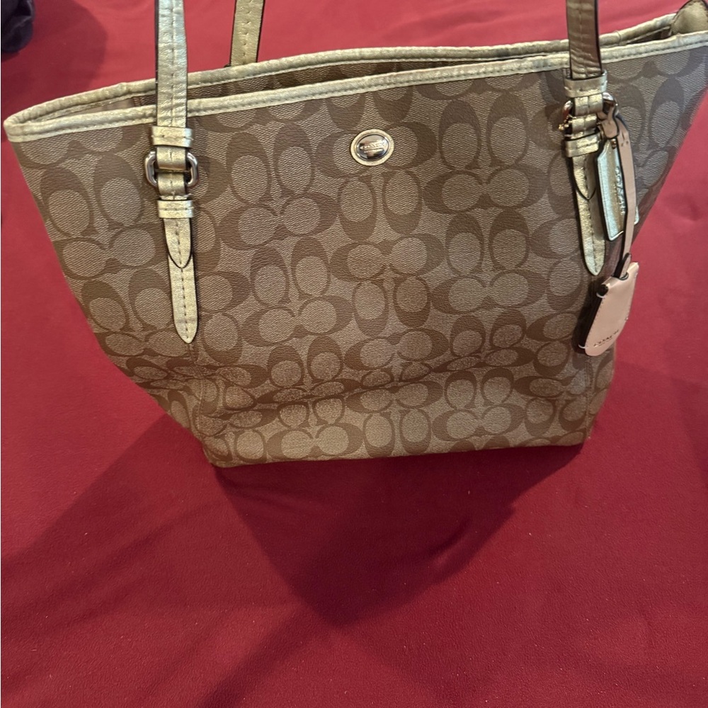 Coach Brown Signature Tote Bag